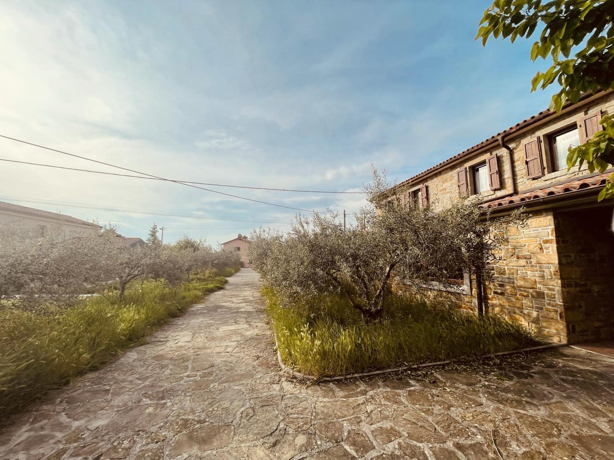 Paradise Villas With Swimming Pool Koper Rom bilde