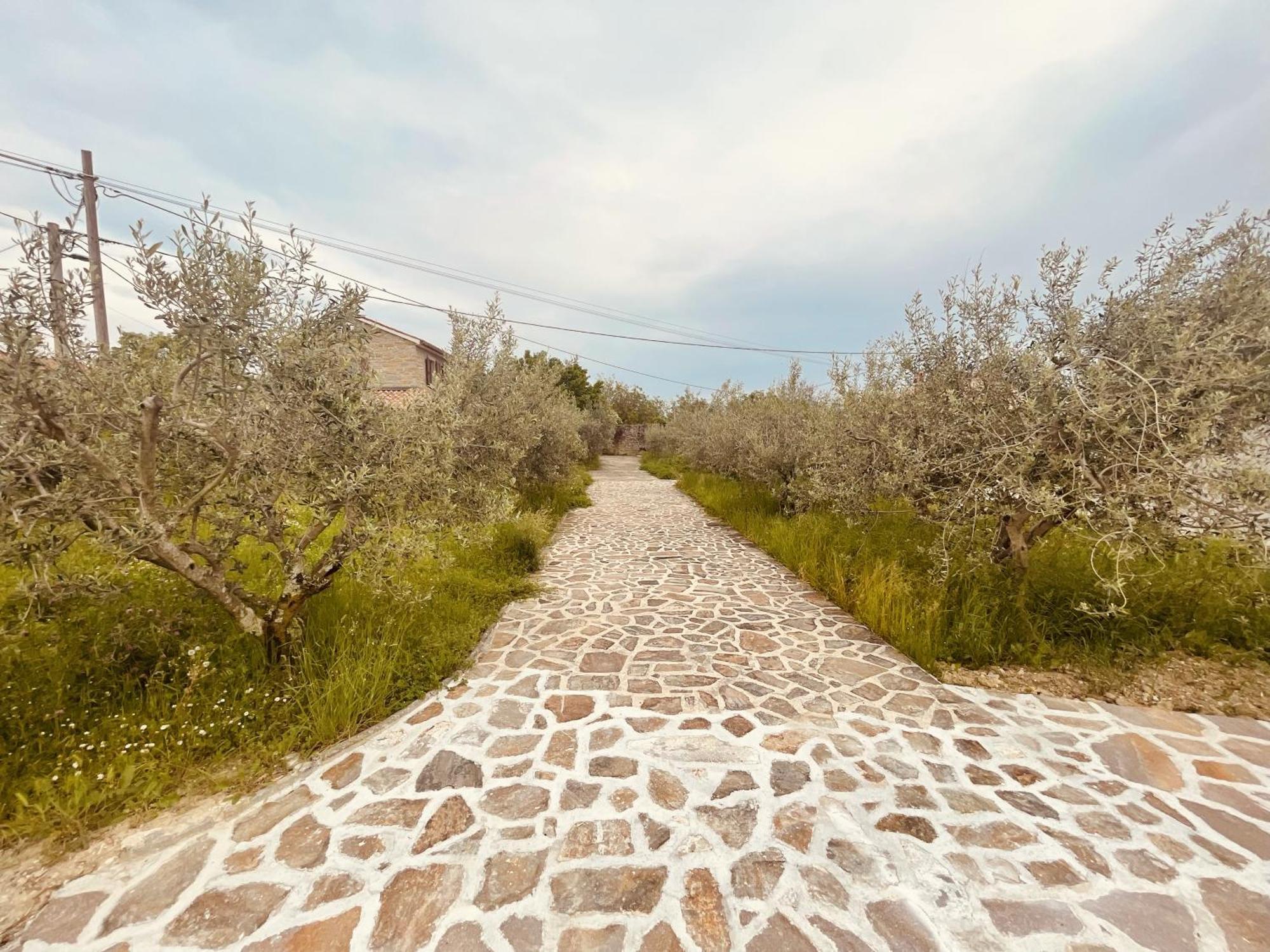 Paradise Villas With Swimming Pool Koper Rom bilde